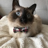 Entry image for Kenny