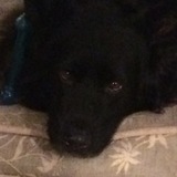 Entry image for Cooper 