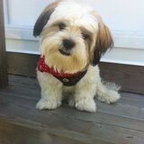 Entry image for Charlie