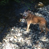 Entry image for Marlee