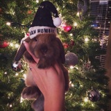 Entry image for Carl