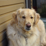 Entry image for Parker