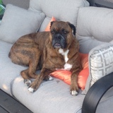 Entry image for Ruby 