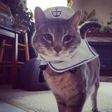 Entry image for Milo