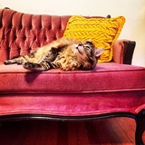 Entry image for Precious