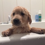 Entry image for Debbie