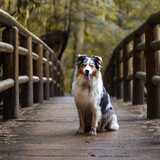 Entry image for Data