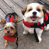 Entry image for Oscar & cooper