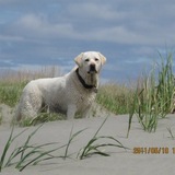 Entry image for Katie