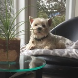 Entry image for Hana