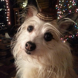 Entry image for Jack