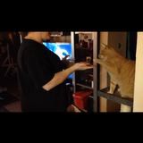 Entry image for Tigger