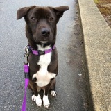 Entry image for Margot Tenenbaum