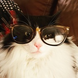 Entry image for Bandit