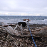 Entry image for Trip