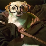 Entry image for Daisy