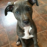 Entry image for Cali