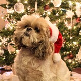 Entry image for Jake