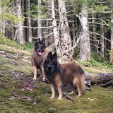 Entry image for Jake and Pandora