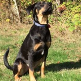 Entry image for Delta