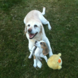 Entry image for Christy and Bailey