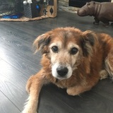 Entry image for Ramona Sunder