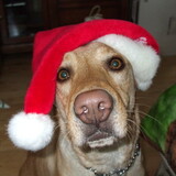 Entry image for Lexie