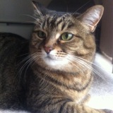 Entry image for Leela 