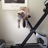 Entry image for Sophie 