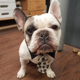 Entry image for Remi