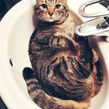 Entry image for Prada