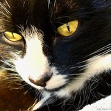 Entry image for Boots