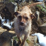 Entry image for Lucy