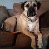 Entry image for Bane