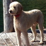 Entry image for Quincy