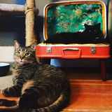 Entry image for Thelonious and Billie Holiday 