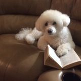 Entry image for KARI