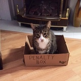 Entry image for McLovin 