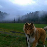 Entry image for Nova