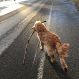 Entry image for Jorge Manuel