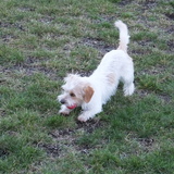 Entry image for Grace