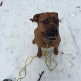 Entry image for Diva