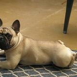 Entry image for Jackson