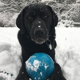 Entry image for Sloan