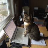 Entry image for Skilly