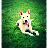 Entry image for Luca