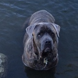 Entry image for Floyd