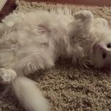 Entry image for Molly