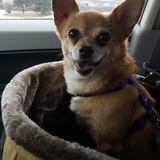 Entry image for Batman