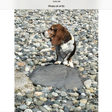 Entry image for Mooky